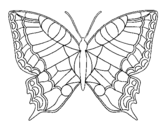 Dibujo de Mariposa 16 para colorear