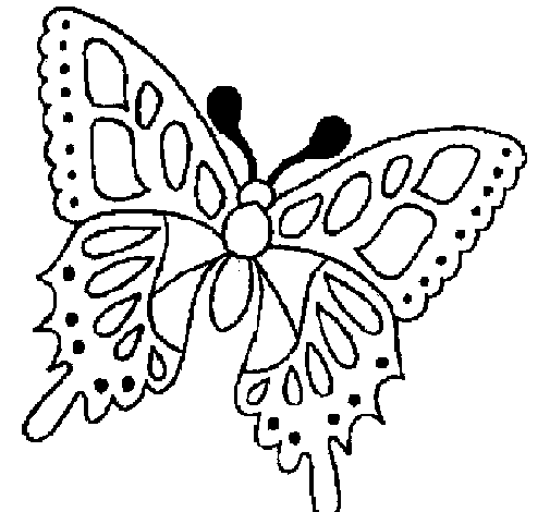 Dibujo de Mariposa 2a para Colorear
