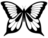 Dibujo de Mariposa 8 para colorear