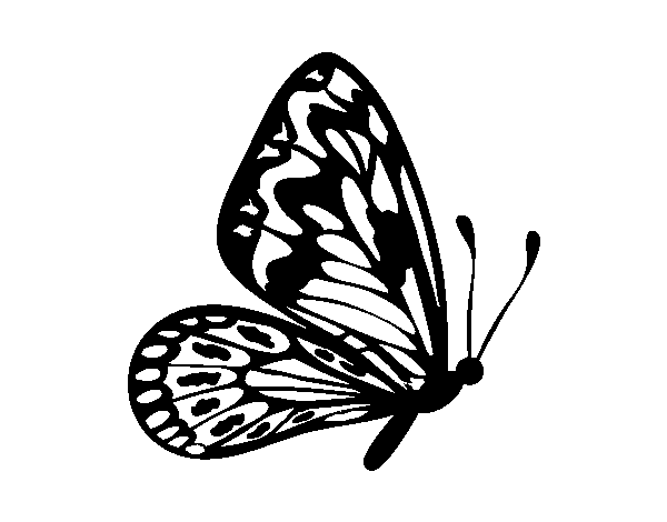 Dibujo de Mariposa alas normales para Colorear