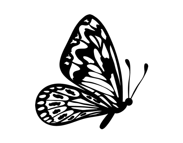 como dibujar alas de mariposa