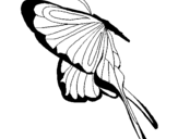 Dibujo de Mariposa con grandes alas para colorear