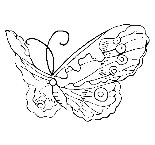 Dibujo de Mariposa elegante para Colorear
