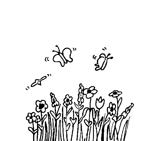 Dibujo de Mariposa en flores para Colorear 