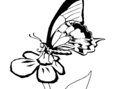 Dibujo de Mariposa en una flor