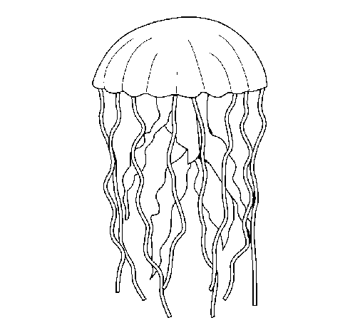Dibujo de Medusa para Colorear