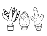 Dibujo de Mini cactus para colorear