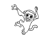 Dibujo de Mono capuchino bebé para colorear