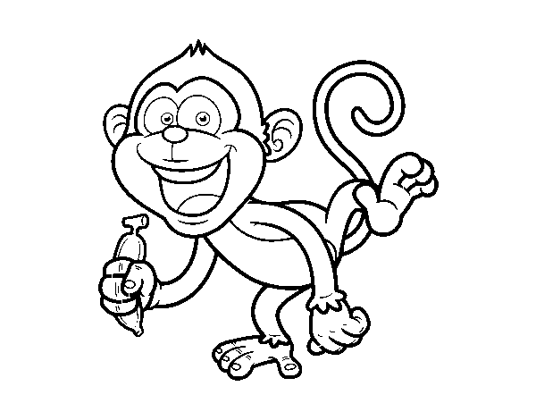 Dibujo de Mono capuchino para Colorear