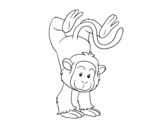 Dibujo de Mono equilibrista