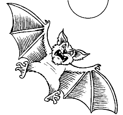Dibujo de Murciélago perro para Colorear