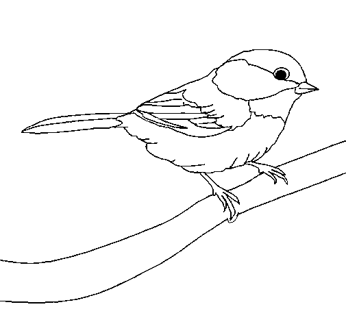 Dibujo de Pájarito 1 para Colorear