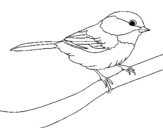 Dibujo de Pájarito 1 para colorear