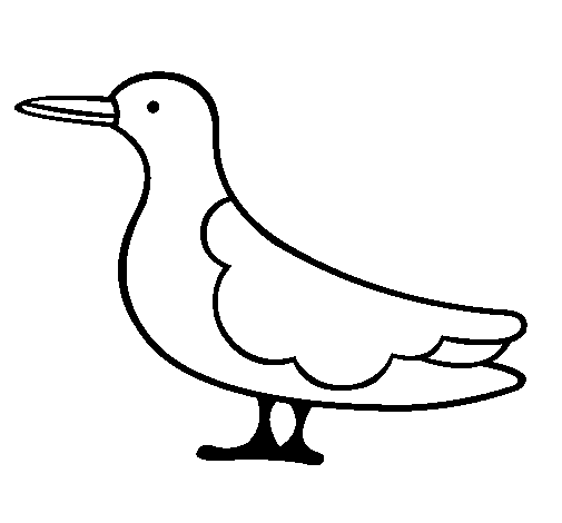 Dibujo de Pájaro 3 para Colorear 