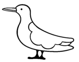 Dibujo de Pájaro 3 para colorear
