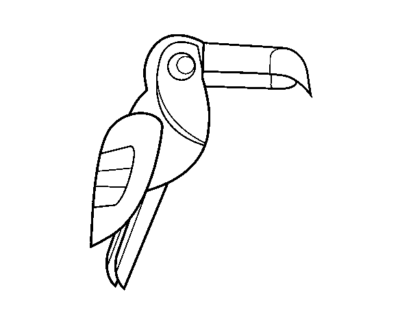 Dibujo de Pájaro Tucán para Colorear