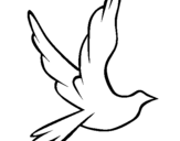 Dibujo de Paloma de la paz al vuelo para colorear