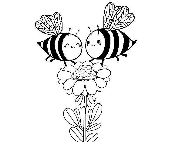 Dibujo de Pareja de abejas para Colorear