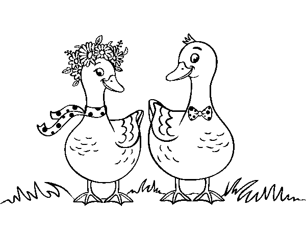 Dibujo de Pareja de patos para Colorear
