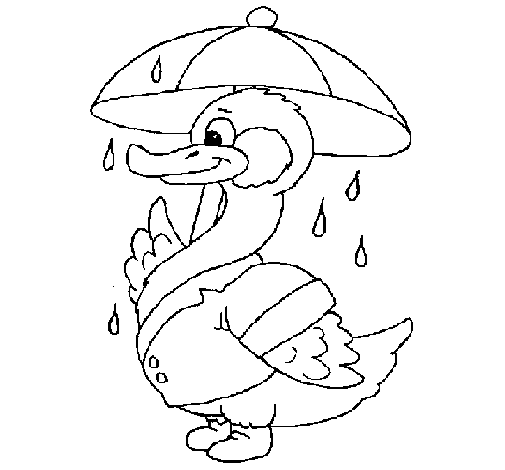 Dibujo de Pato bajo la lluvia para Colorear