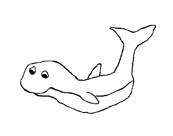 Dibujo de Pequeña ballena para Colorear