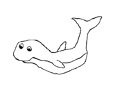 Dibujo de Pequeña ballena para colorear