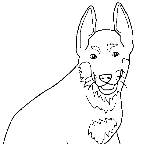 Dibujo de Perro 4a para Colorear