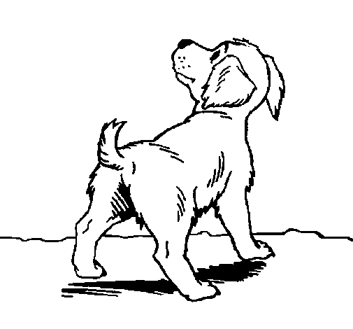 Dibujo de Perro III para Colorear