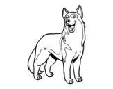 Dibujo de Perro lobo