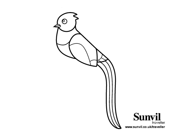 Dibujo De Quetzal Para Colorear Dibujos Net