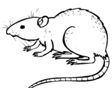 Dibujo de Rata subterráena para colorear
