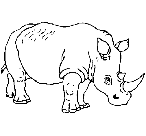 Dibujo de Rinoceronte 3 para Colorear