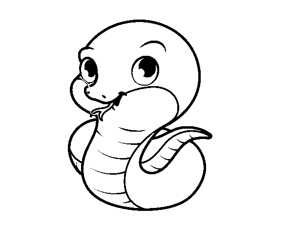 Dibujo de Serpiente bebé para Colorear