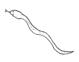 Dibujo de Serpiente venenosa