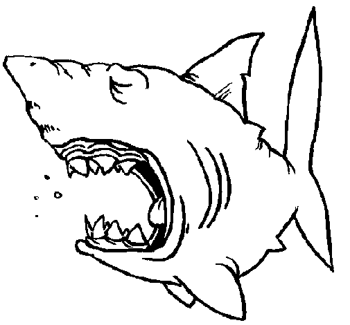 Dibujo de Tiburón 1 para Colorear