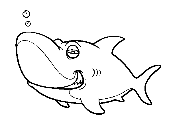 Dibujo de Tiburón tigre para Colorear