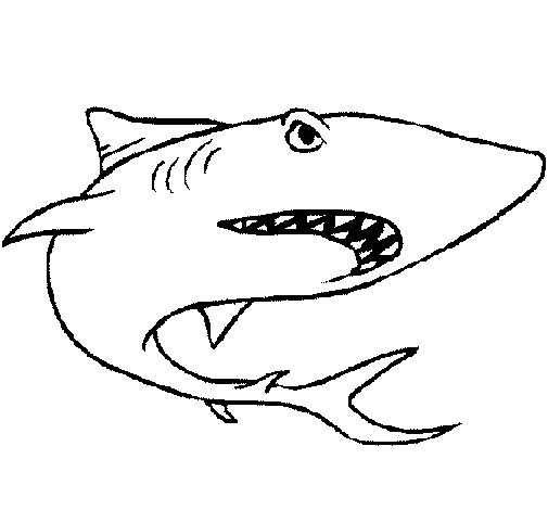 Dibujo de Tiburón para Colorear