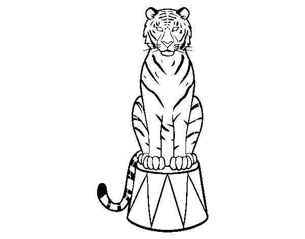 Dibujo de Tigre de circo para Colorear