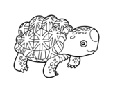 Dibujo de Tortuga estrellada de la India para colorear