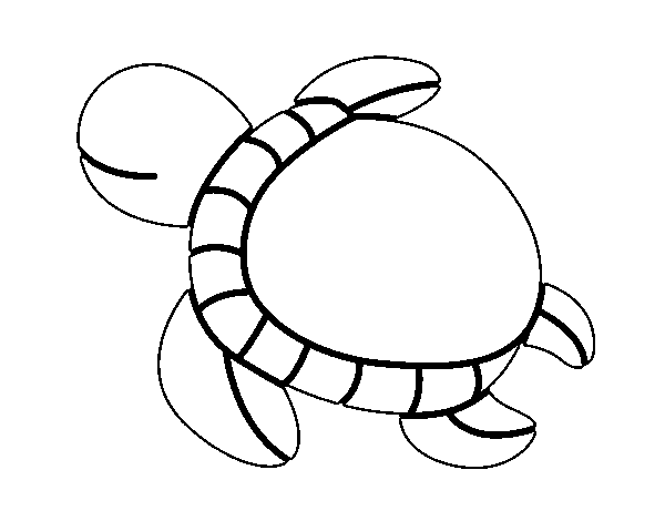 Dibujo de Tortuga nadando para Colorear
