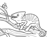 Dibujo de Un camaleón con la lengua fuera para colorear