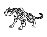 Dibujo de Un leopardo para colorear