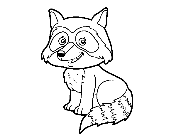 Dibujo de Un mapache joven para Colorear