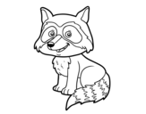 Dibujo de Un mapache joven para colorear