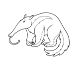 Dibujo de Un oso hormiguero para colorear