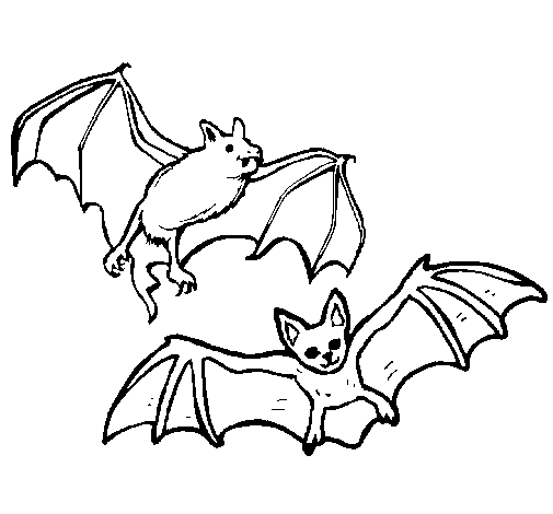 Dibujo de Un par de murciélagos para Colorear