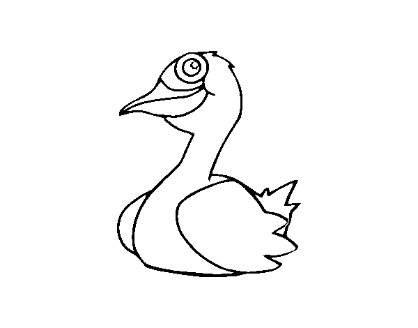 Dibujo de Un pato para Colorear