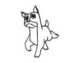 Dibujo de Un perro bóxer para colorear