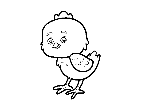 Dibujo de Un pollito pio para Colorear