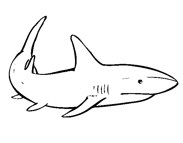 Dibujo de Un tiburón nadando para Colorear